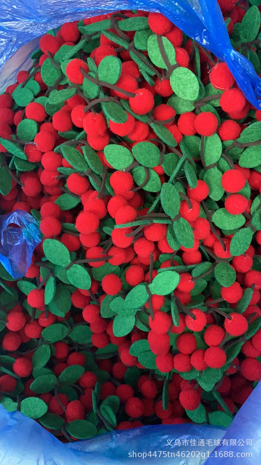 IMG_7178(20210828-001155)