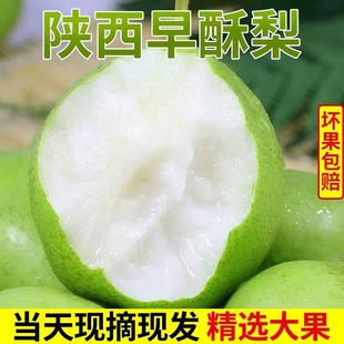 ������������5����Ƥ�殔���t������Fժ���rˮ���½��젖������