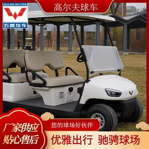 Wuling Qolf Arabası, Aşağı Sürətli Elektrikli Nəqliyyat, Qolf Ləvazimatları, Elektrikli Ekskursiya