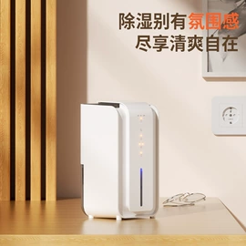 卷发/直发器;食品保鲜机;筋膜枪