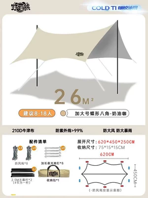Avtomobil yan çətirləri – Silver-Coated Canopy - 620450-silver-coated-canopy-see-description-for-size