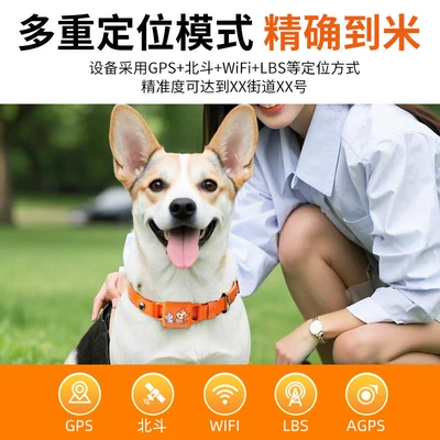 and dogs, tracking and positioning GPS Locator