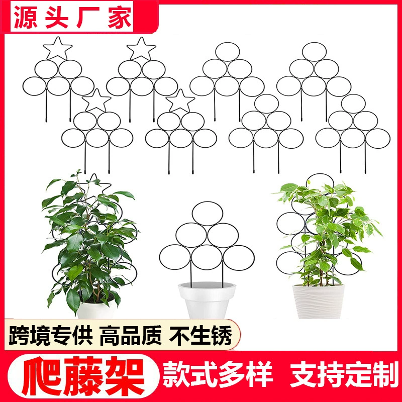 Трансграничные растения вьющиеся кадр зеленые растения поддержки горная черепаха Xueyin горшечная Цветочная композиция кронштейн производителей железа