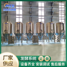 生产欧洲标准发酵罐 欧洲标准发酵罐 啤酒商酿设备精酿啤酒生产线