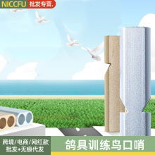 NC�B���ڌ�������Ӗ�����������W�^�˸��B����������Ӗ���ڸ��l��
