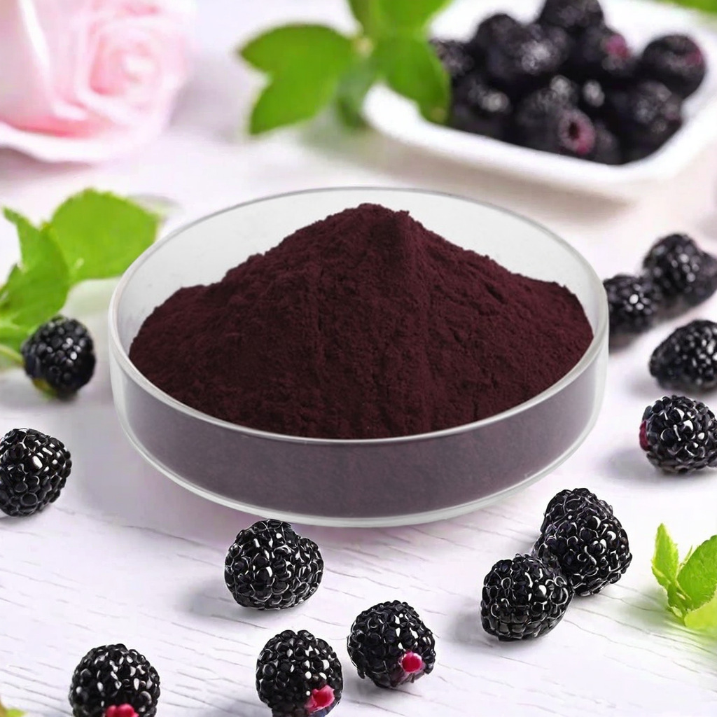 黑莓粉99% 黑莓花青素/花色苷 露莓/树莓粉 果蔬粉黑莓提取物水溶