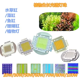 贴片式LED;COB LED;RGB彩色灯珠