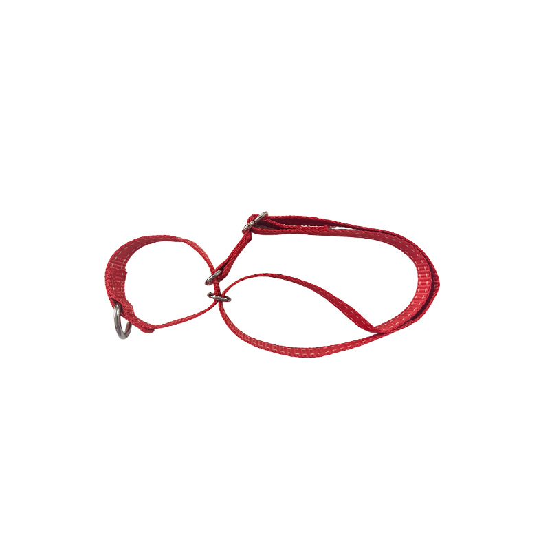 Cuerdas de tracción para perros, cuerdas de tracción alargadas, collares para perros, cuerda para caminar, Teddy de pelo dorado para mascotas, cadenas de perros grandes y medianos