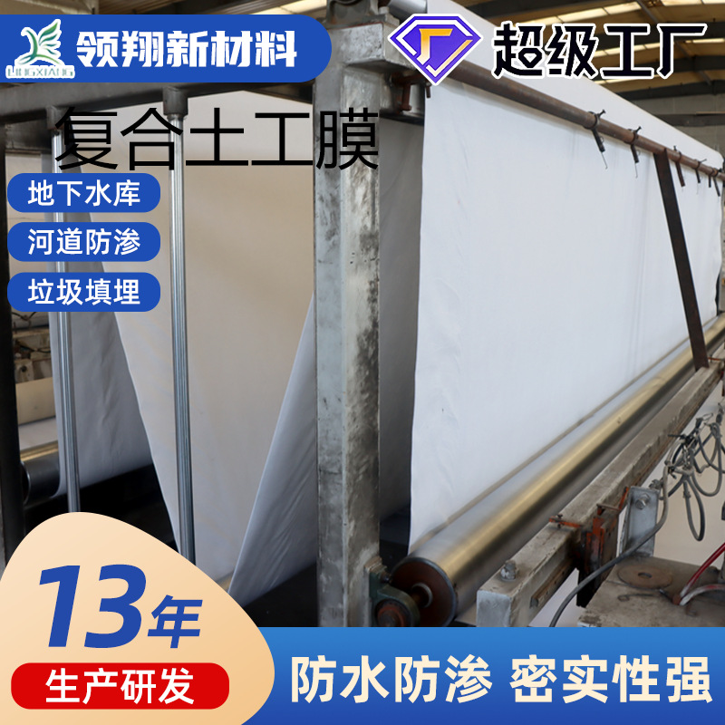 复合土工膜大型水库人工湖一布一膜复合土工膜池塘防渗加厚土工膜