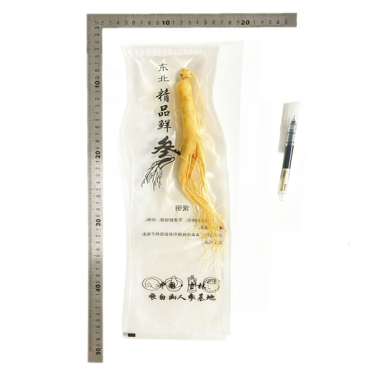 【鮮人参】長白山人参卸売メーカー直販 東北特産新鮮人参 酒漬け人参 生人参