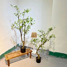 ��Ʒ���溣�u�����٘��҃�������P�[���b����Է��滨�����Gֲ