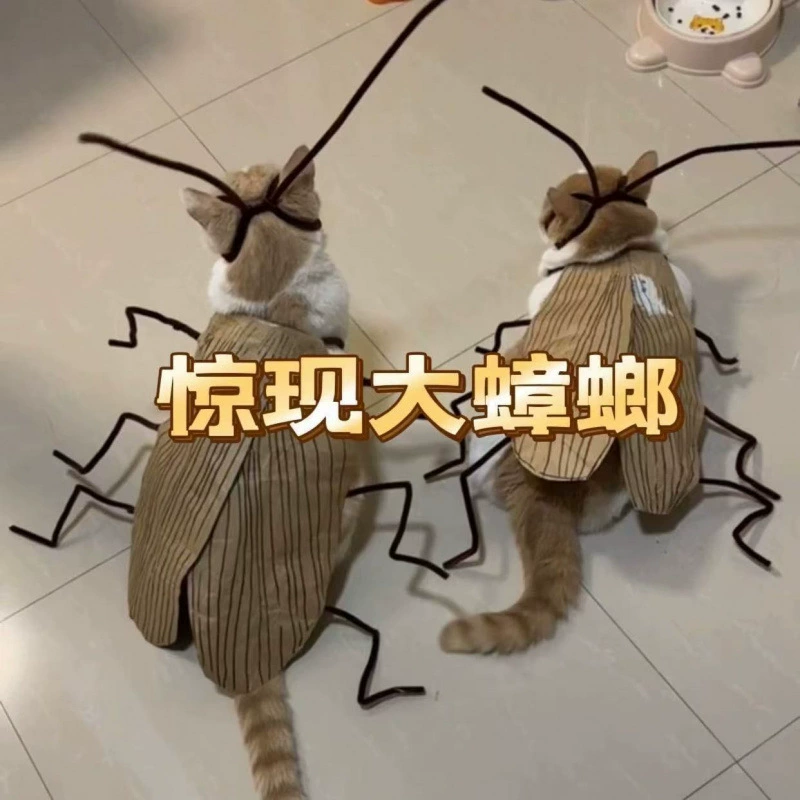 Костюм кота-таракана, чистый таракан, пряная полоска, ручная работа, комплект материалов для одежды для кошек «сделай сам», комплект материалов для интернет-знаменитостей, милый наряд для домашних животных.