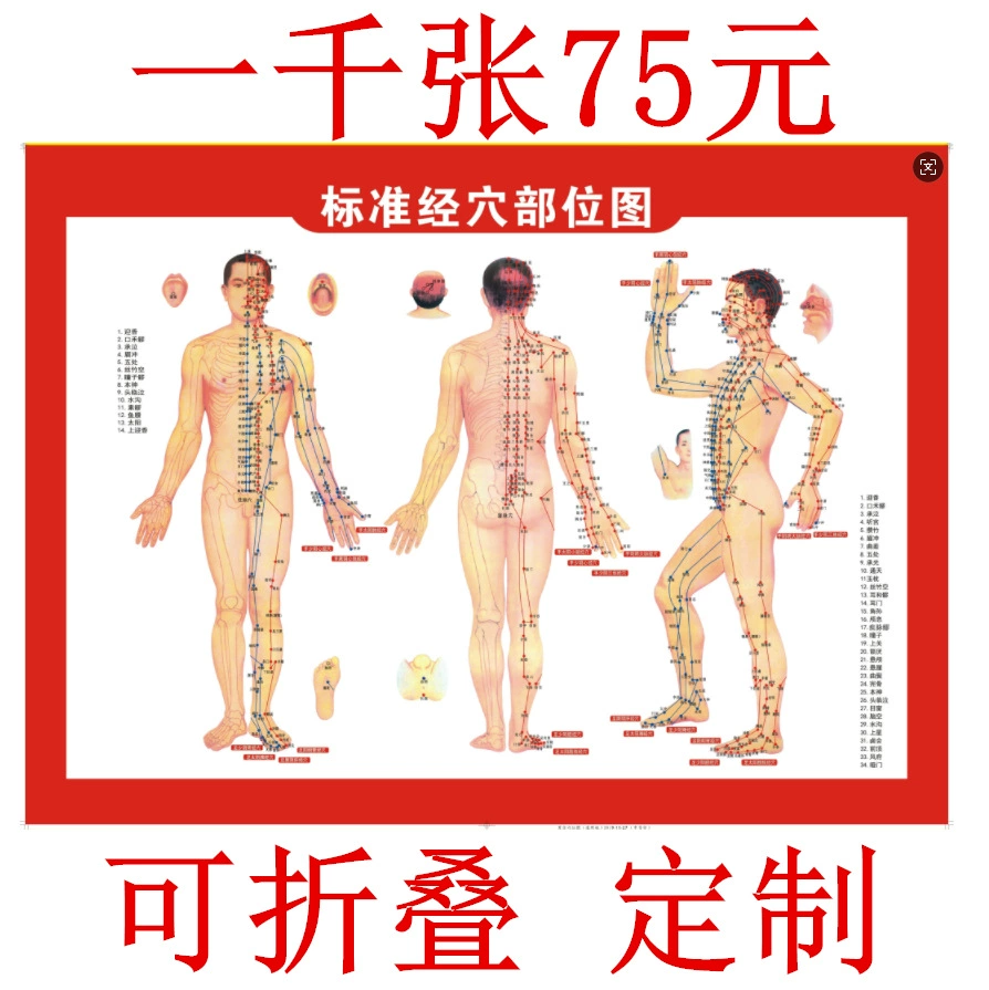 Таблица акупунктурных точек для моксибустии на теле человека, таблица моксибустии, таблица акупунктурных точек меридианов тела человека, книга по терапии моксибустией, баночный массаж, скребковый массаж, медная пластина для массажа