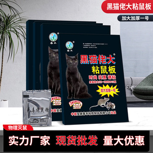 ��������S�����l�����Ӻ�Ӵ������N��׽�������zմ���ò�����