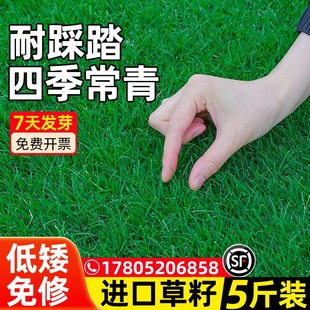 ��ƺ�����o�¹�������Ľ���ļ�����ͥԺ������̺�ݾG�������ݷN��