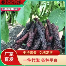 һ�����lɣ������Nˮ�����Ϸ������ļ����ԷNֲ̨���L��ɣ��ɣ�