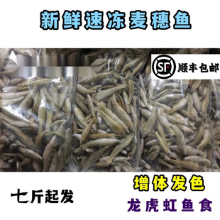 ���]���r��������~��С�~�����q������~�~ʳ���~���~��~������