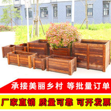 ����ľ�������L���λ����̨�N����̼����ľ�řڷNֲ����⻨��