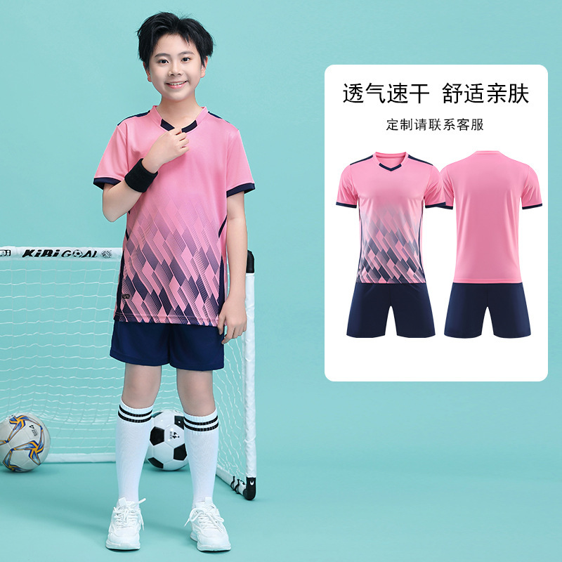 SDS-Z35 pink