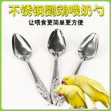 鹦鹉雏鸟不锈钢喂奶器喂鸟的勺子喂养工具玄凤幼鸟小鸟手养喂食器