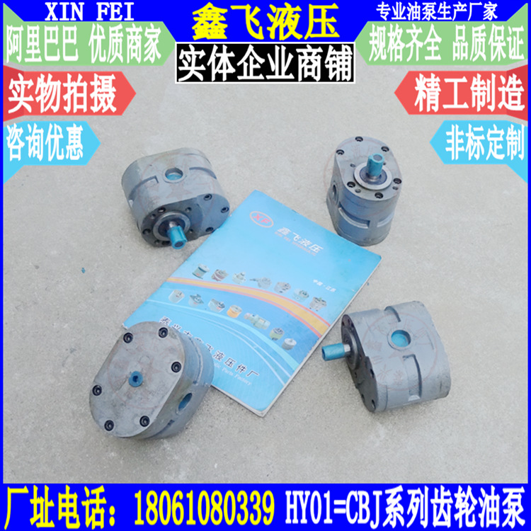 HY01-8X15/HY01-12X20/CBJ-8*15/CBJ-12*20齿轮泵 平面磨床油泵