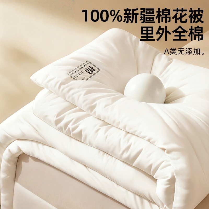 Xinjiang Cotton Quilt Core Winter Quilt All-Cotton Thickened Warm Single Pure Cotton Spring and Autumn Quilt Cotton Batting Winter