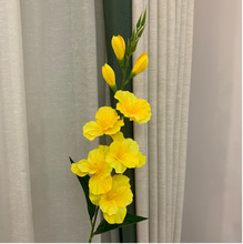 ֧m c·ҾbmF؛ֱN