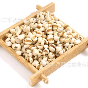 薏仁粉 熟薏仁粉 SC代餐粉 有资质 厂家供应|ru