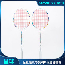 东南亚热卖ALPSPORT羽毛球拍4U全碳纤维T700实芯中杆40T 超轻高磅