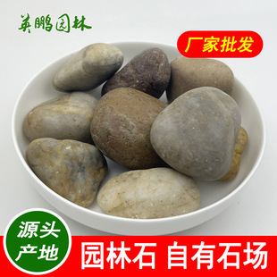 Ӣ�iʯ�� ���^�b��ò�ɫʯ Ⱦɫ�Z��ʯ�·����껨ʯ��
