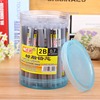 Resin, automatic pencil for elementary school students, wholesale, Birthday gift