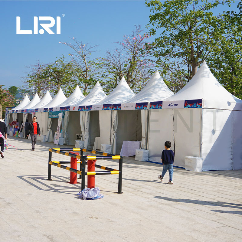 �ⶥС������ ���������»׶���� ������