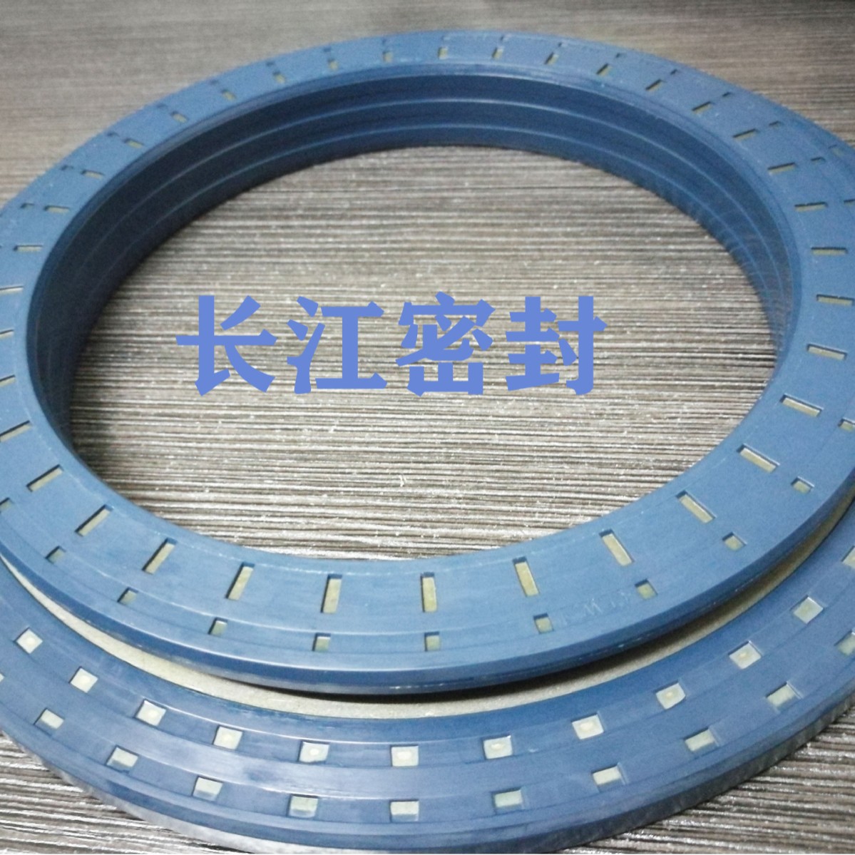 德国进口骨架油封CFW MSS7 RWDR KOMBI 120-180-12/24