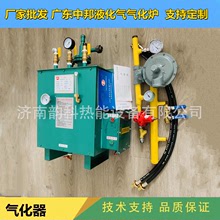 中邦30-50KGLNG石油液化氣氣化器汽化器氣化爐煤氣加熱器爐汽化爐