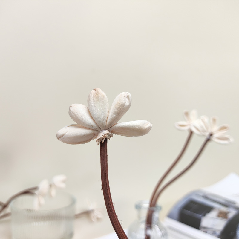 茶色の曲がった藤の五指の花の花の香りの棒の香りの棒|undefined