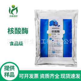 核酸酶 5′—磷酸二酯酶 食品添加剂 2万U/g 含量高酶活力 酶制剂