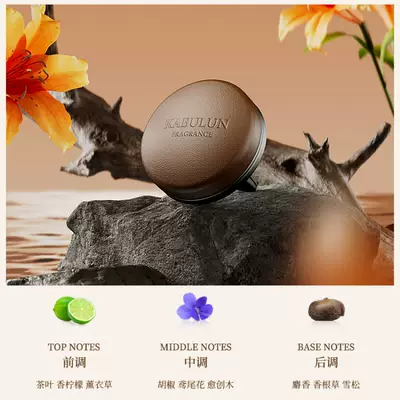 light fragrance gift ornaments — Car Perfume Aromatherapy - single-shell-brown