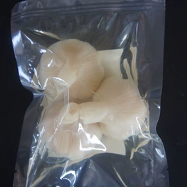 酱腌菜;冷冻蔬菜