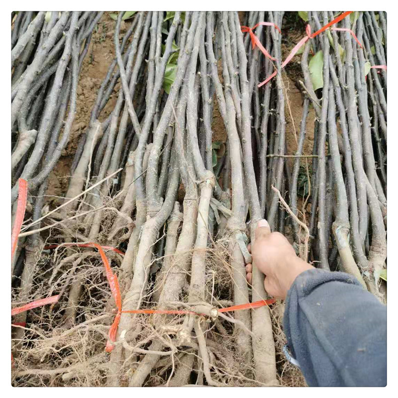 微信图片_20210126212941