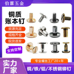 帳簿の釘のオスとメスのねじの箱の部品の多規格はロックのねじのベルトのアパレルのアクセサリの子の釘の現物に対して