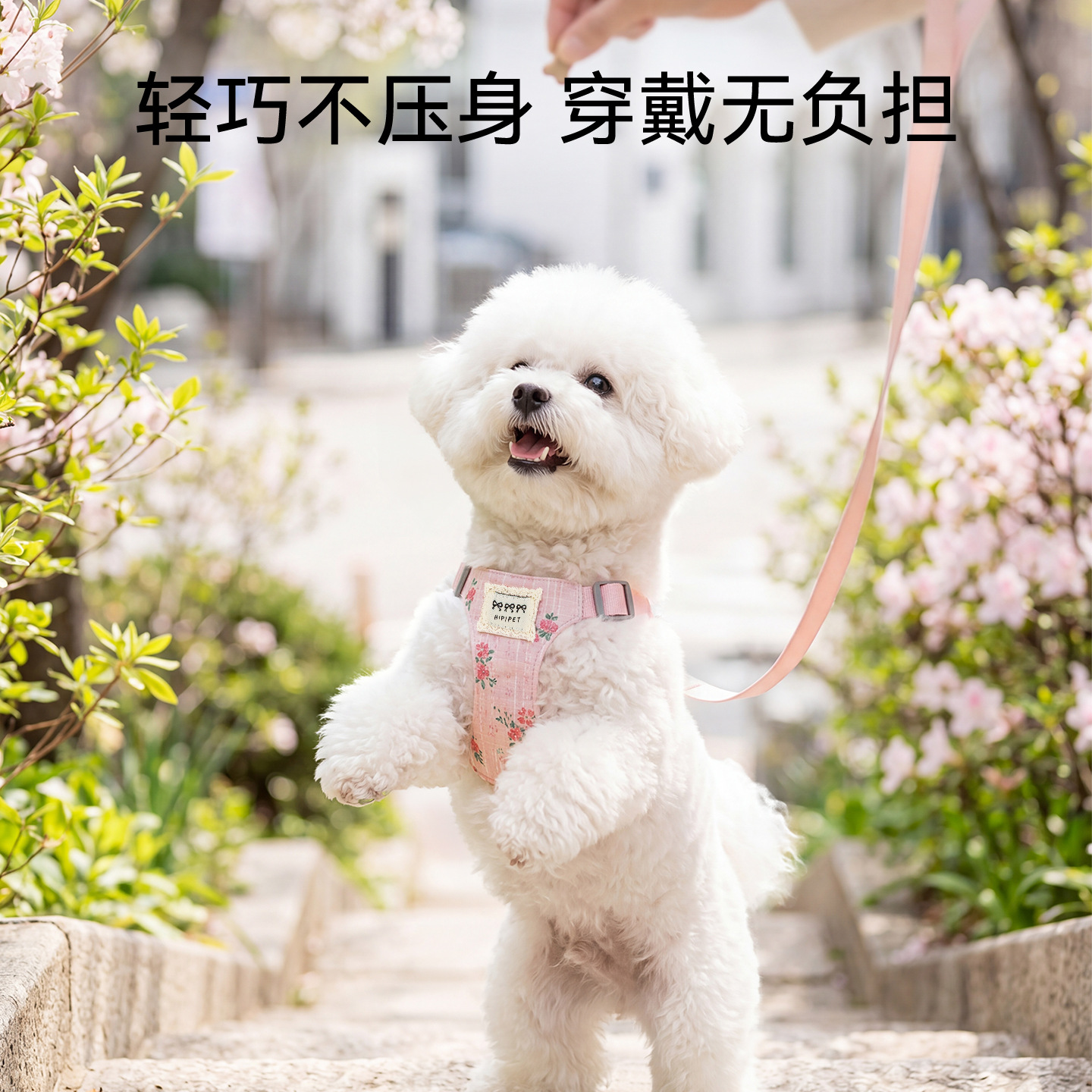 Flores de primavera ajustables para mascotas pecho y espalda conjunto de cuerda de tracción para perros y gatos para caminar con perros, cuerda de paseo para perros anti-desprendimiento
