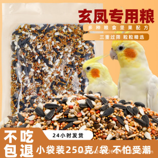 ���P�W�^���üZ�S������ɫ���ӼӼ{����С���ӻ�ϼZ�B�Z�Bʳ���