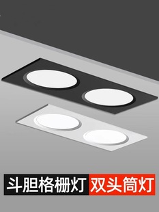 Led Double-Head Downlight Ceiling Grille Light Rectangular Spotlight Embedded Ceiling Light Bold Light Double Downlight Wenwo