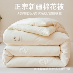 A类亲肤母婴级原棉新疆棉花被冬被春秋被家用学生宿舍被子空调被
