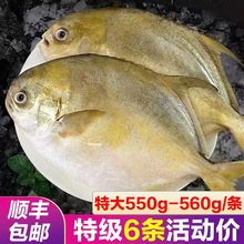 �ش�̖���K�~���~���r�ك����~���r�������rˮ�a���������S