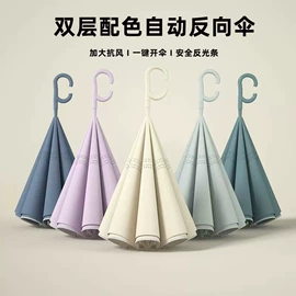 晴雨伞;雨伞;儿童伞具