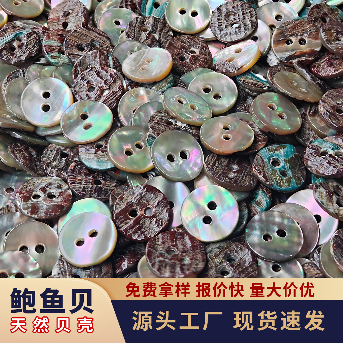 黄金鲍鱼贝纽扣衬衫扣毛衣开衫厂家批发现货高档两眼天然贝壳纽扣