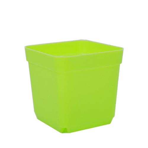 Succulent small square pots colorful succulent flower pots for seedlings ultra-small square plastic flower pots 5.5CM black square manufacturer