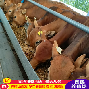 ţ���Ӄr��Сţ���w�������T���������Sţ��ľٝţ���ͷNţֳ