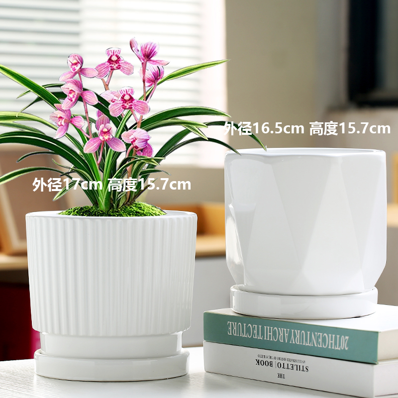 두 개의 큰 순백색 실크 패턴 조합